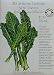 Kale Italian Lacinato Nero Toscana Certified Organic Heirloom Seeds 75 Seeds