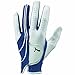 Puma Form Stripe Perform Left Hand Glove