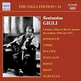 Gigli, Vol. 14