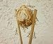 Praying Mantis Egg Case - 2 Praying Mantids Egg Cases - Live Good Bugs