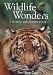 Wildlife Wonders: A Behind-the-Scenes Tour