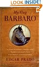 My Guy Barbaro...