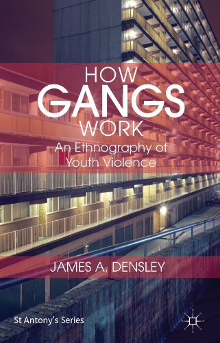 How Gangs Work: An Ethnography of Youth Violence (St Antony's Series)