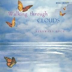 Walking Through Clouds