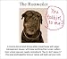   - The Rottweiler Birthday Greeting Card (Set of 6)