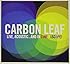 Carbon Leaf Live, Acoustic..and in Cinemascope