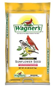 Wagner's 76026 Four Season Oil Sunflower Seed, 20-Pound Bag