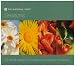 National Trust: Seasons