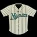 Florida Marlins Team Jersey Pin