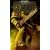 Salamander (Tome of Fire Trilogy)