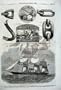 1859 New Screw Steam Ship Thunder Test-House Dockyard