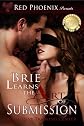 Brie Learns the Art of Submission: Submissive Training Center