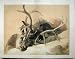 1876 Antique Sepia Print Dead Stags Deer Sir Landseer