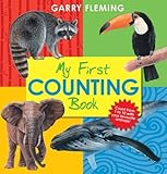 My first counting book