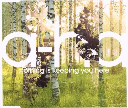 Produkt-Bild: Nothing Is Keeping You Here (2-Track)