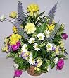 16" Mixed Wildflower Arrangement