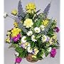 16" Mixed Wildflower Arrangement