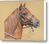 Beautiful Paso Fino Horse Canvas Print / Canvas Art - Artist Terry Kirkland Cook