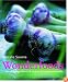 Wonderfoods: Amazing Ingredients and Recipes for Optimum Health