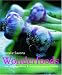 Wonderfoods: Amazing Ingredients and Recipes for Optimum Health