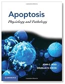 Apoptosis: Physiology and Pathology