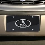 St. Louis Cardinals Black Swirl Acrylic License Plate w/ Domed Emblem