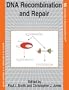 DNA Recombination and Repair (Frontiers in Molecular Biology)