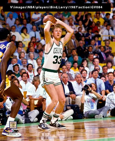 Larry Bird Boston Celtics Nba 16X20 Photograph Gv084