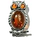 Jewelry : Certified Genuine Honey Amber and Sterling Silver Owl Pin
