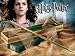 Harry Potter Hermione Granger's Wand