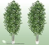 TWO 7' Artificial Bougainvillea Trees with Real Wood Trunks