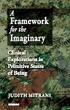 A framework for the imaginary : clinical explorations in primitive states of being