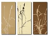LC Design Company Set of 3 Grass Design Neutral Wall Art
