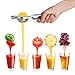 Stainless Steel Lemon Squeezer & Hand Juicer - Premium Cheese Zester & Garlic Grater - FREE Apple Peeler and Cleaning Brush - Best Kitchen Gadgets Set for Gifts - Silver