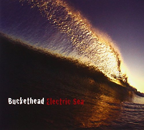 Buckethead - Electric Sea - Zortam Music
