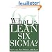 What is lean six sigma