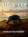 Big Cats