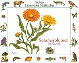 Produkt-Bild: Sommerblumen im Garten: Malbuch (Siebert Lehrreiche Malb&uuml;cher)