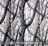 1 (one) 2in X5in Camo Window Film Realtree Hardwoods Snow