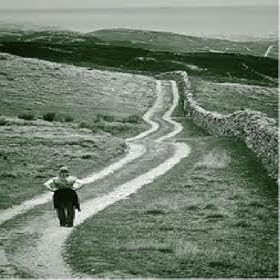 Long Road Limited Digi
