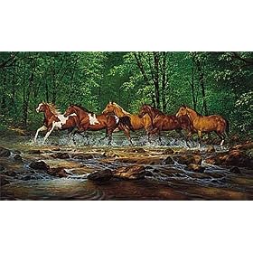 Spring Creek Run - Small