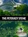 The Petoskey Stone