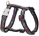 Red Dingo Dog Bowl Xlarge Harness