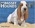 Just Basset Hounds 2008 Calendar