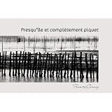 Presqu'Ile et Completement Piquetpar Francis Carnoy