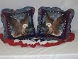 All American Eagle 16" Zippered Throw Pillow Set