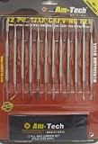 12 Piece Stainless Steel Wax Carving Set