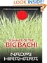 Summer of the Big Bachi