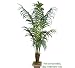 TWO 7' Artificial Kentia Palm Tropical Trees, with No Pot,