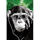 Monkey Shades Art Print Poster - 24x36